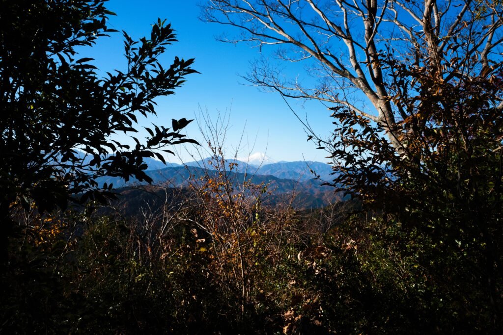 View On Mount Takao