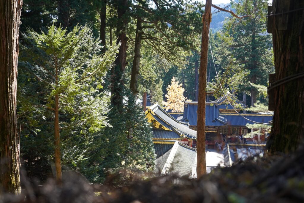 View On Nikko Roofs From Behind Trees