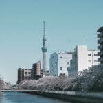 Best Tokyo Tours