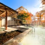 Best Places to Visit in Japan in the Summer