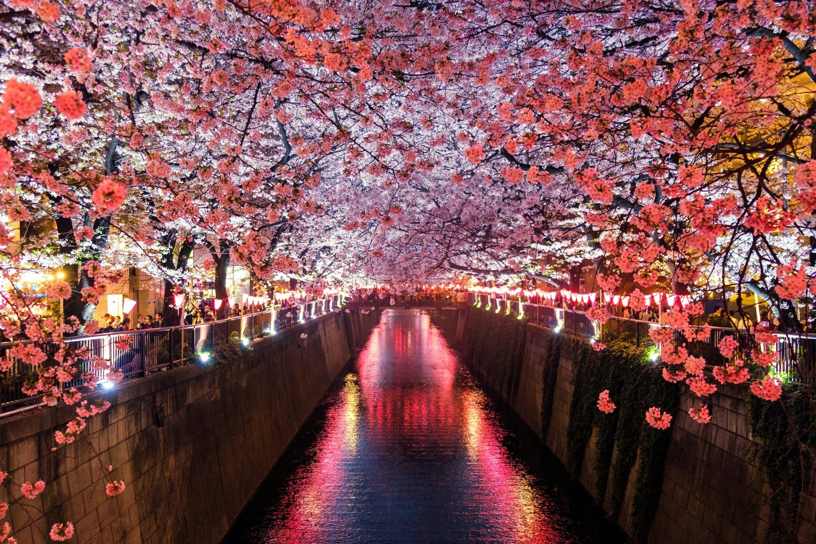 10 Japan Travel Tips: How to make Japan Budget travel Without Missing a Thing (2025) 6 japan budget travel tips
