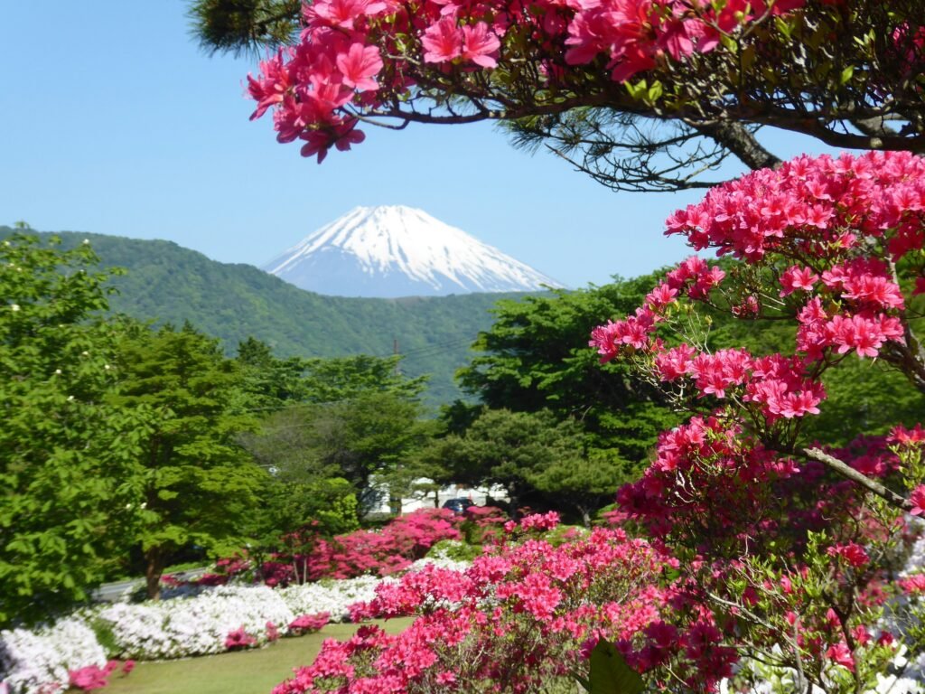 Beginner’s Guide to Climbing Mount Fuji: A Step-by-Step Adventure Plan + Insider Tips (2025) 8 Climbing Mount Fuji