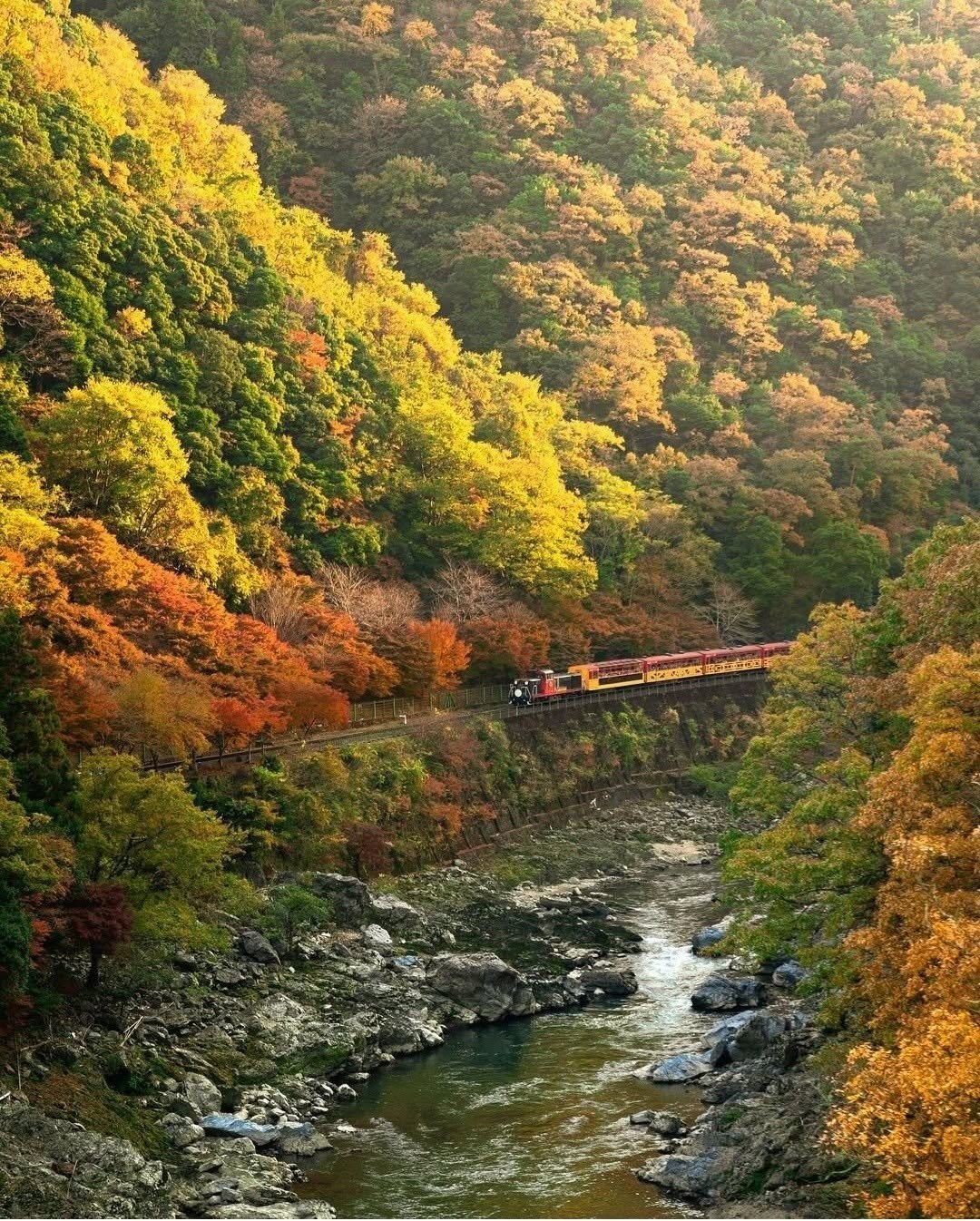 2025 Ultimate Kyoto Travel Guide: Best Things to Do, Itinerary + Hidden Gems You’ll Wish You Knew Sooner 14 Saga-Arashiyama