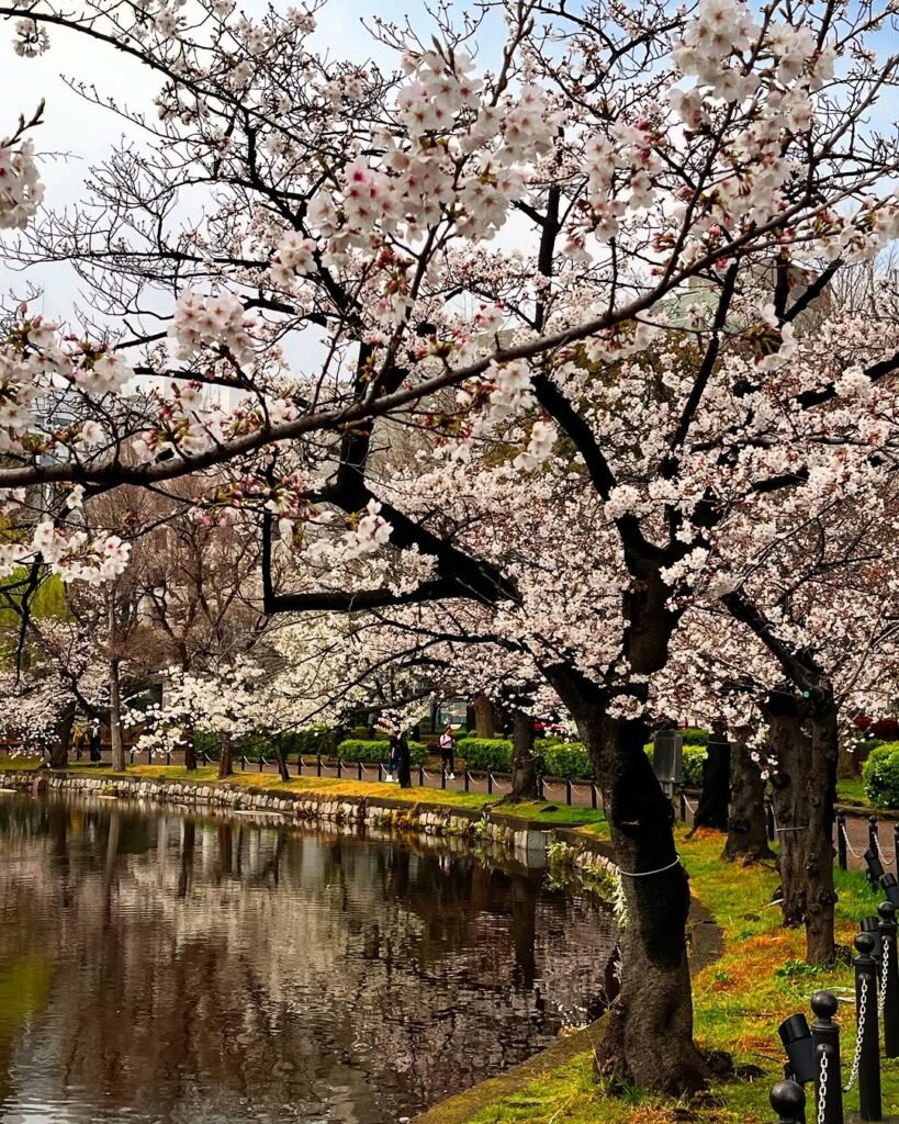 What to Do in Ueno Tokyo: 20 Best Attractions, Eateries & Shopping Spots (2025) 12 Ueno Park