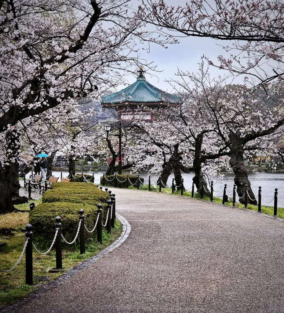 7 Days in Tokyo Itinerary: The Ultimate Day-by-Day Guide for First-Time Visitors (2025) 28 Ueno Park Tokyo