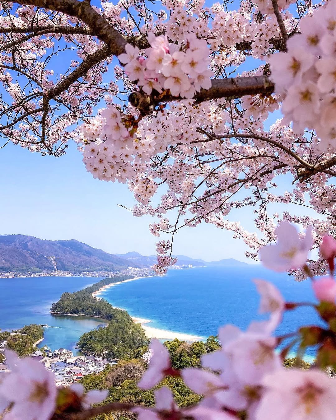 2025 Ultimate Kyoto Travel Guide: Best Things to Do, Itinerary + Hidden Gems You’ll Wish You Knew Sooner 15 Amanohashidate Kyoto Japan