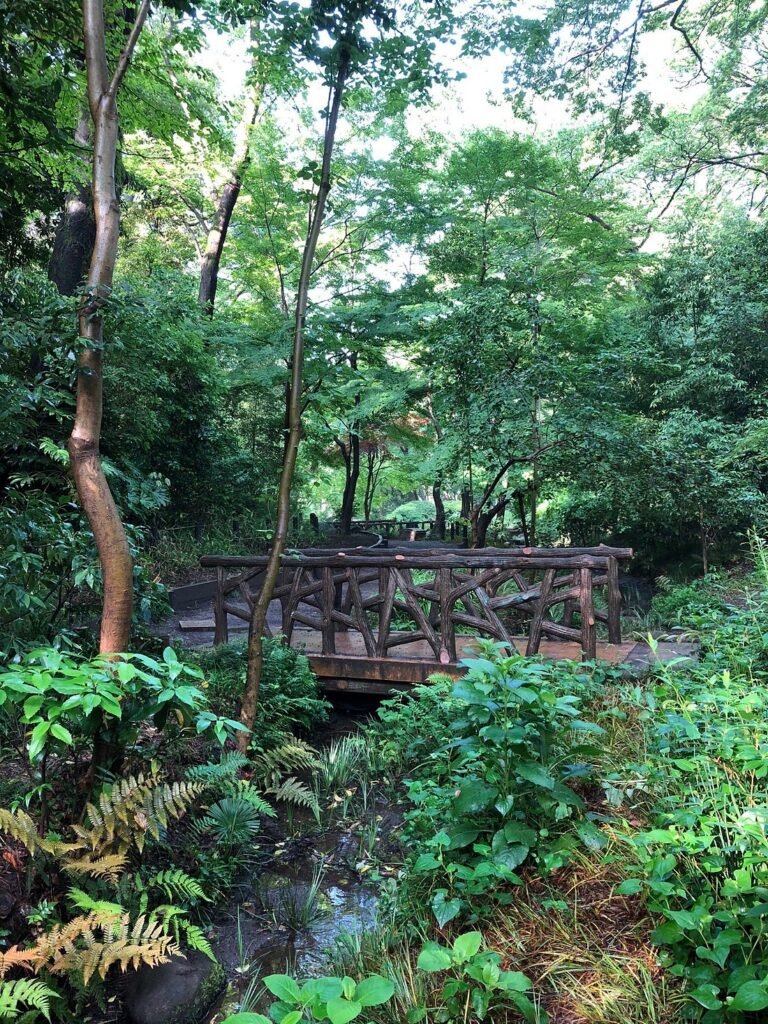 What to Do in Roppongi Hills: Tokyo’s Coolest Culture Spot (2025) 15 Arisugawa-no-miya Memorial Park Roppongi Hills