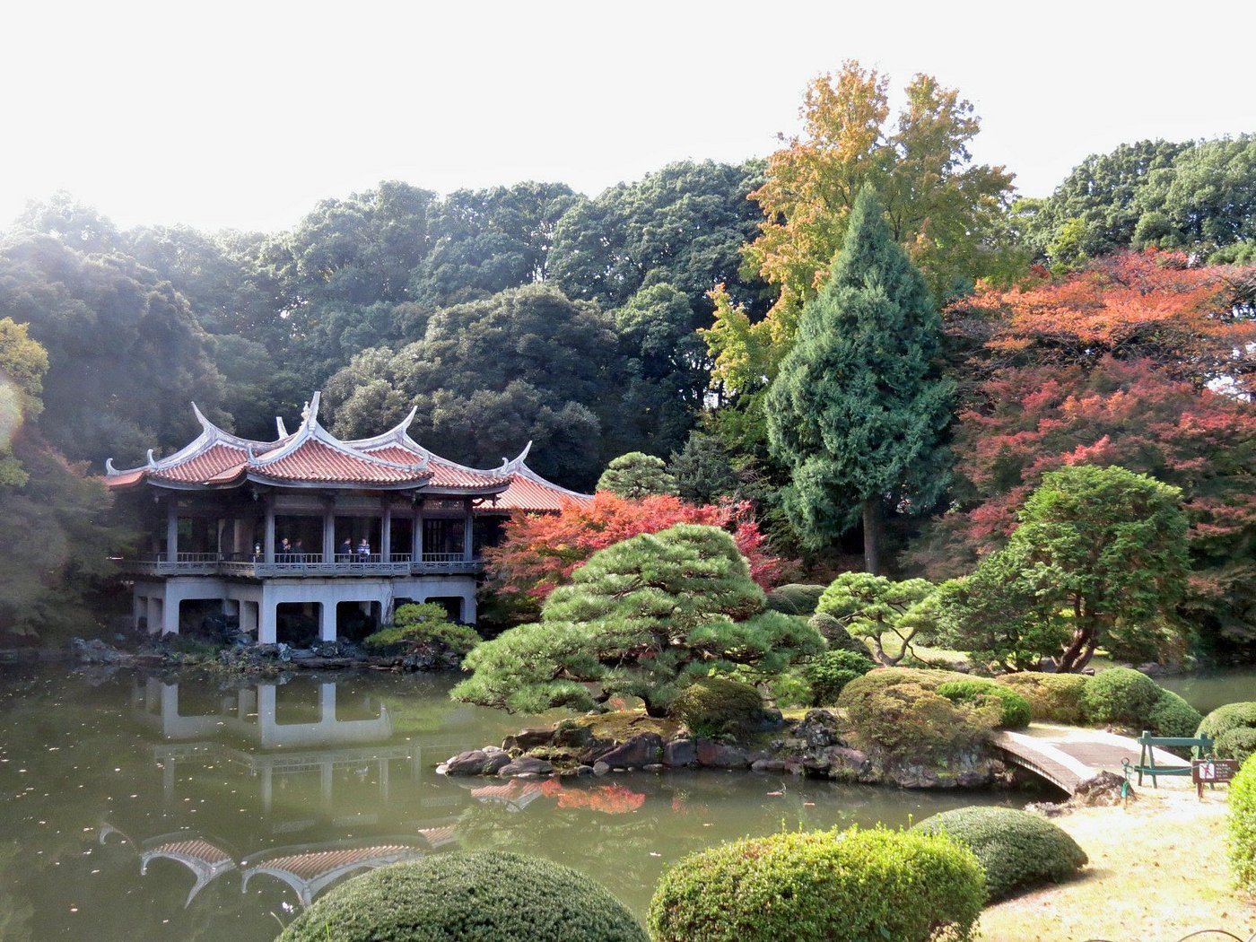 Ultimate 2025 Tokyo Travel Guide: Best Things to Do, Eat & See in Japan’s Capital 15 Shinjuku Gyoen National Garden