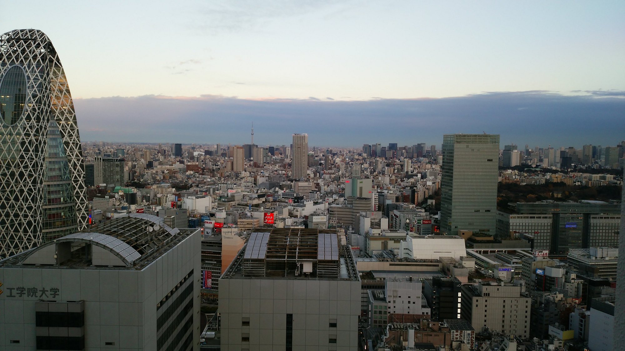 Top Things to Do in Shinjuku (2026): Where to Eat, Shop, and Discover Tokyo’s Urban Jungle 34 Sky Lounge Aurora