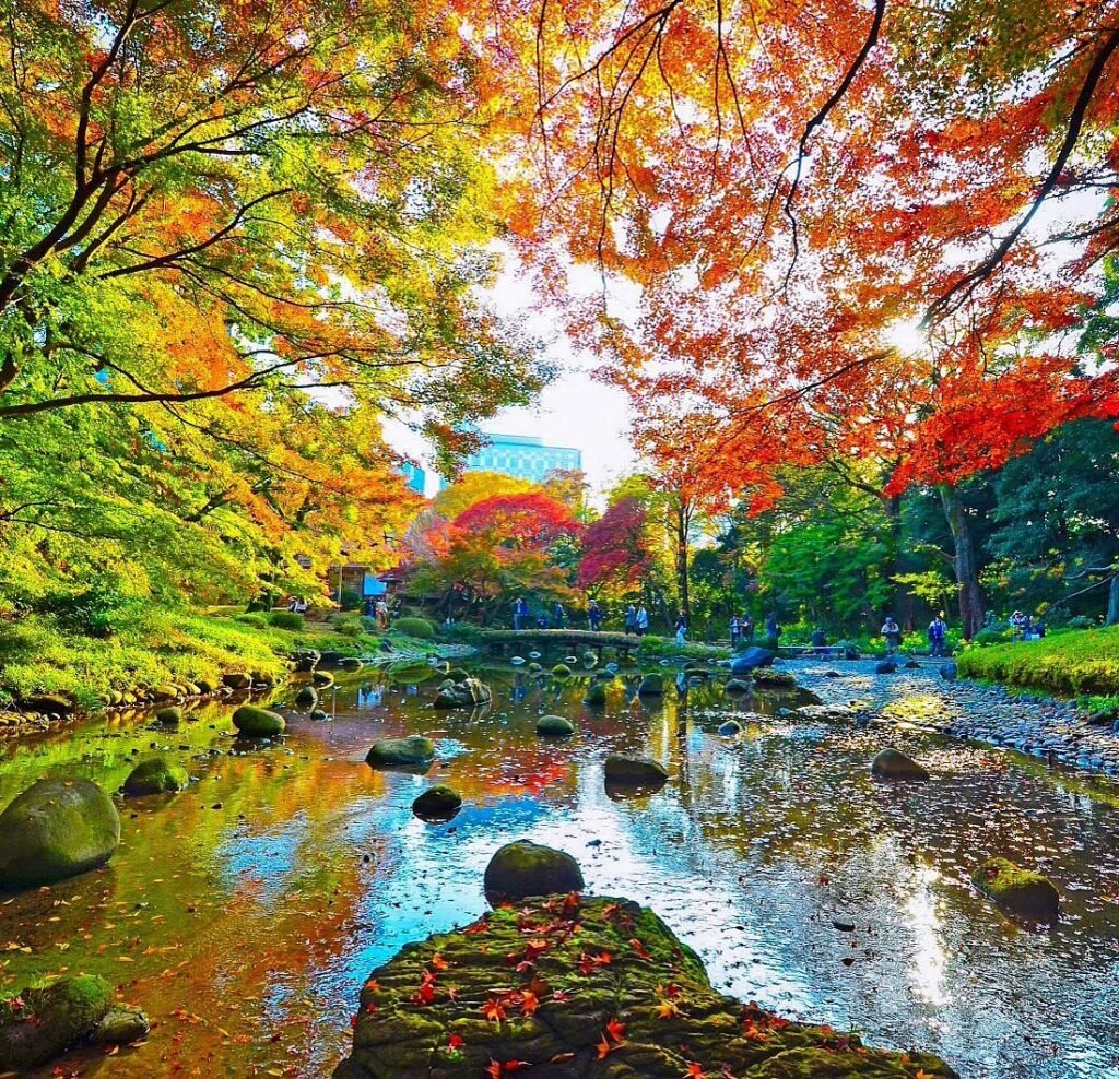 7 Days in Tokyo Itinerary: The Ultimate Day-by-Day Guide for First-Time Visitors (2025) 23 Koishikawa Korakuen