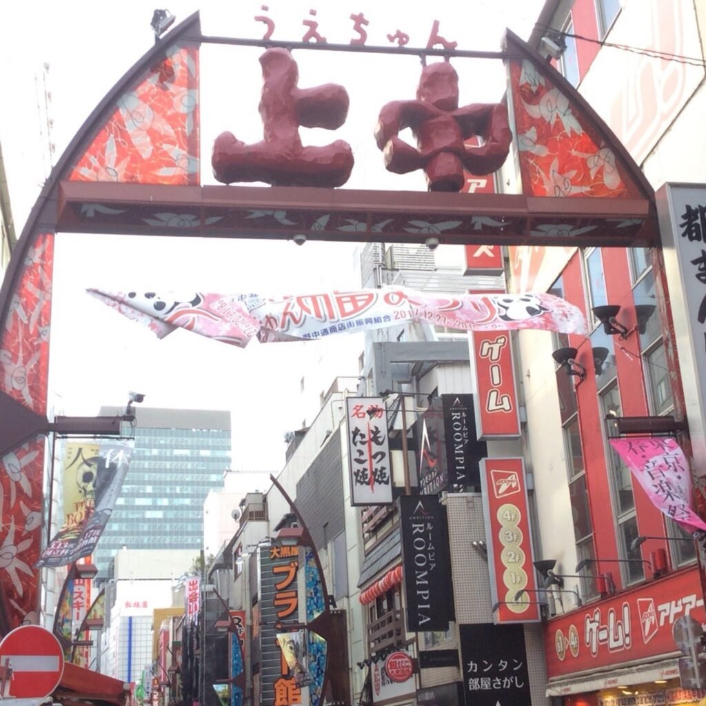 7 Days in Tokyo Itinerary: The Ultimate Day-by-Day Guide for First-Time Visitors (2025) 29 Ameya Yokocho Tokyo
