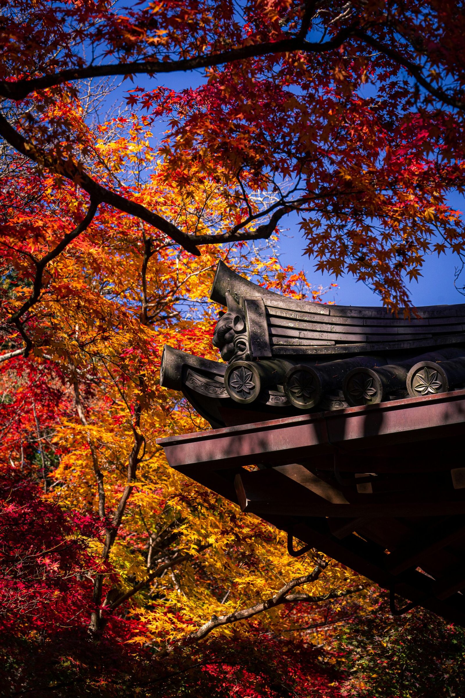 2025 Ultimate Kyoto Travel Guide: Best Things to Do, Itinerary + Hidden Gems You’ll Wish You Knew Sooner 32 Autumn in Kyoto