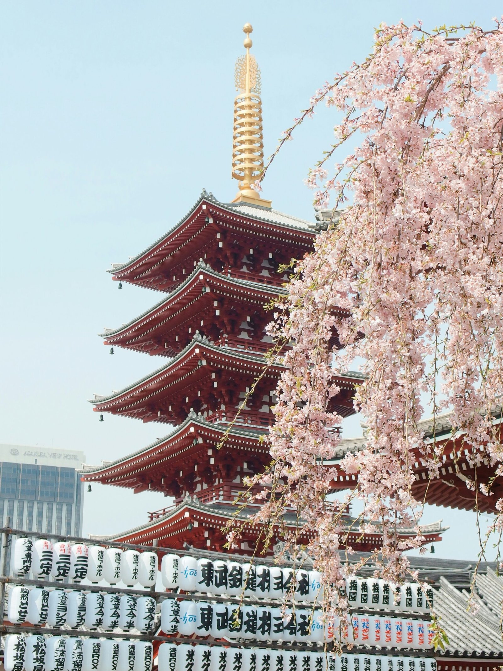 2025 Ultimate Kyoto Travel Guide: Best Things to Do, Itinerary + Hidden Gems You’ll Wish You Knew Sooner 30 Spring in Kyoto