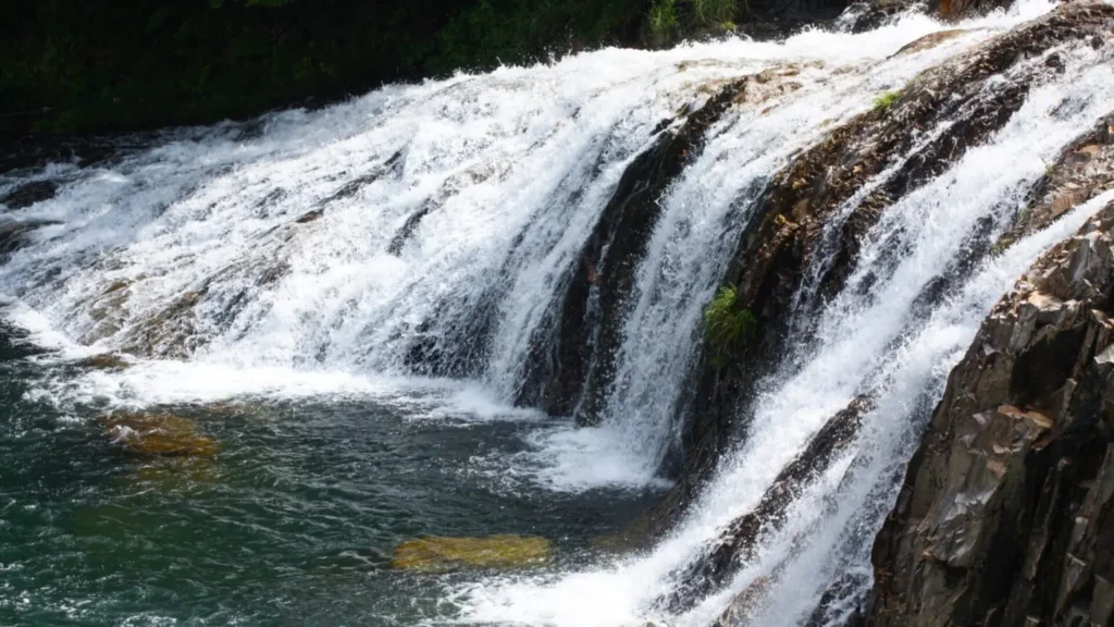 Nagoya’s Best-Kept Secrets: 26 Hidden Gems in Nagoya Only Locals Know (2025) 30 Tsuta-no-Fuchi Waterfall (Tōei Town)