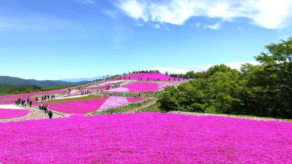 Nagoya’s Best-Kept Secrets: 26 Hidden Gems in Nagoya Only Locals Know (2025) 31 Chausuyama Highlands (Toyone Village)