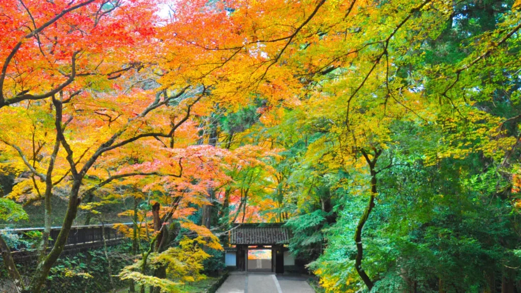 Nagoya’s Best-Kept Secrets: 26 Hidden Gems in Nagoya Only Locals Know (2025) 23 Kōshaku-ji Temple (Toyota City)