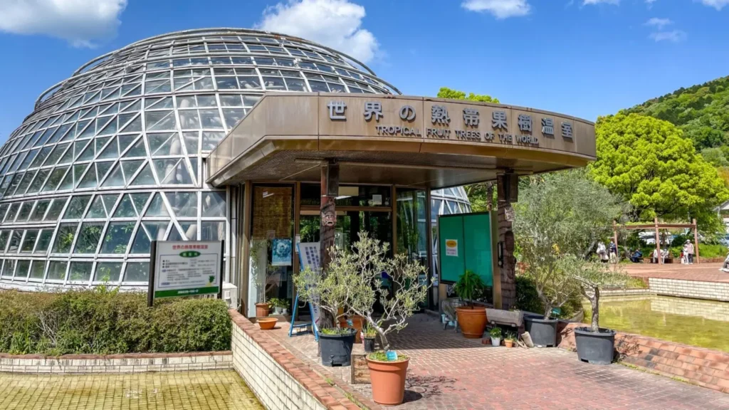 Nagoya’s Best-Kept Secrets: 26 Hidden Gems in Nagoya Only Locals Know (2025) 9 Higashiyama Fruit Park