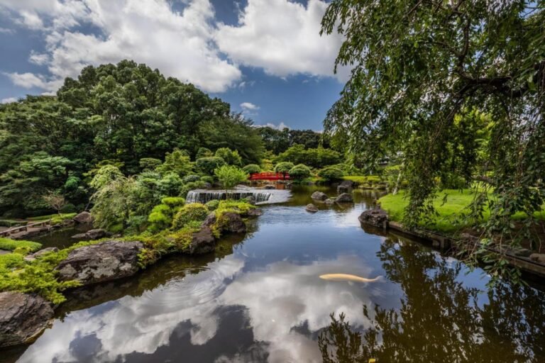 Tokyo for free