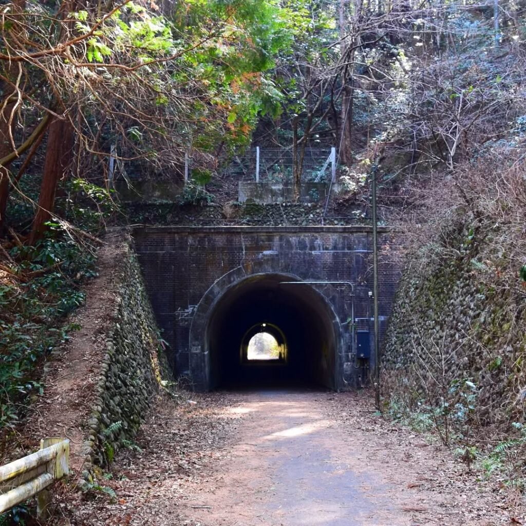16 Wild Fun Facts About Tokyo That’ll Blow Your Mind (2026) 16 Komine Tunnel