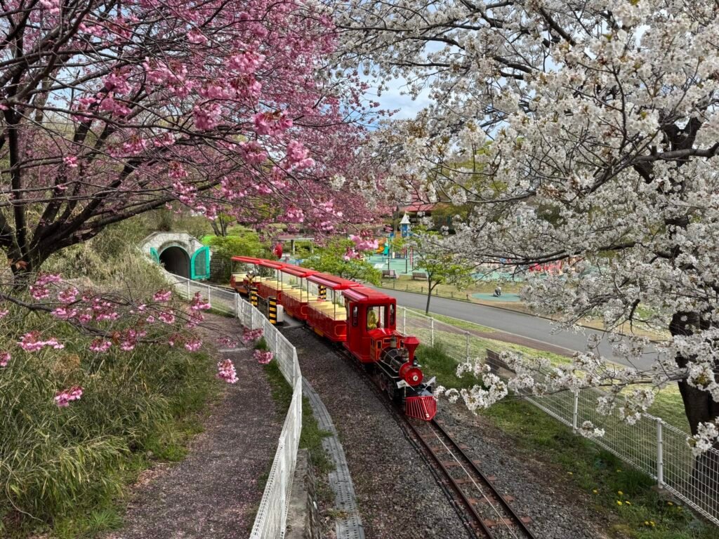 What to Do in Yokohama with kids: 20+ Must-See Spots & Experiences (2025) 7 Kodomo-no-Kuni