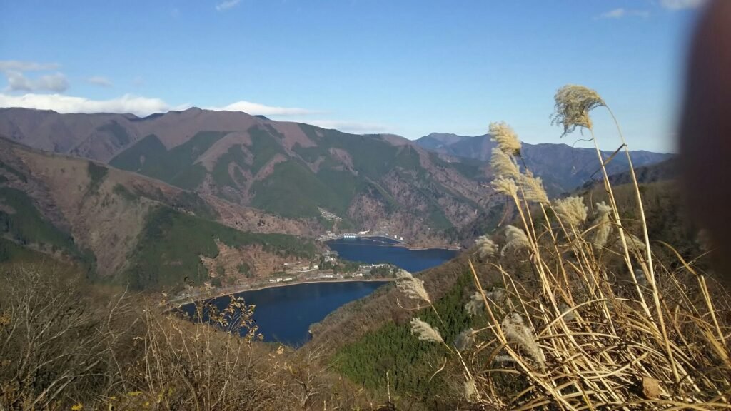 23 Best Hidden Gems in Tokyo You’re Missing in 2025 (Even Locals Keep These Quiet) 23 Lake Okutama (Nishitama District)