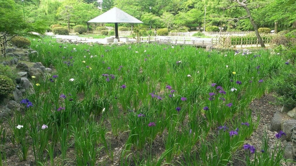 Nagoya’s Best-Kept Secrets: 26 Hidden Gems in Nagoya Only Locals Know (2025) 11 Tsuruma Park (Shōwa Ward, Nagoya)