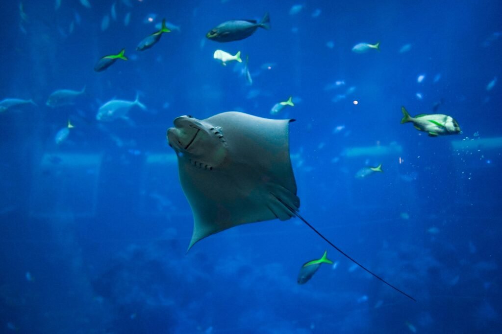 Nagoya’s Best-Kept Secrets: 26 Hidden Gems in Nagoya Only Locals Know (2025) 26 Takeshima Aquarium (Gamagōri City)