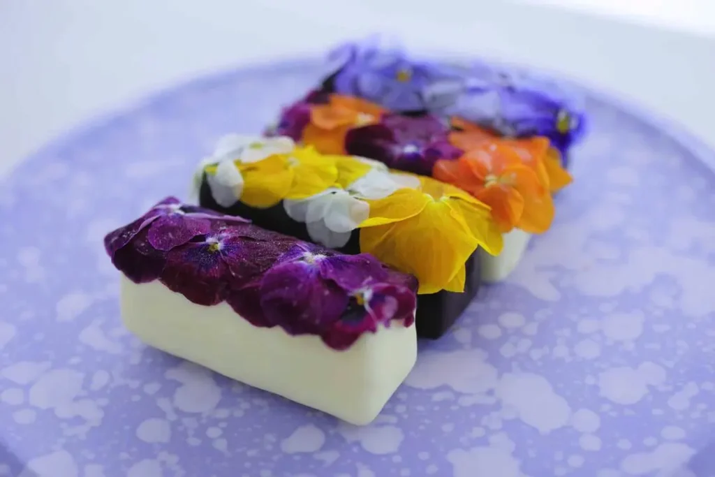 38 Best Things To Buy in Osaka: Unique Sweets, Snacks & Gifts You’ll Want to Bring Home (2025) 31 gB0putdIvPA3l5OJ5eY6azBCPhngutpBjc0jdnow 1