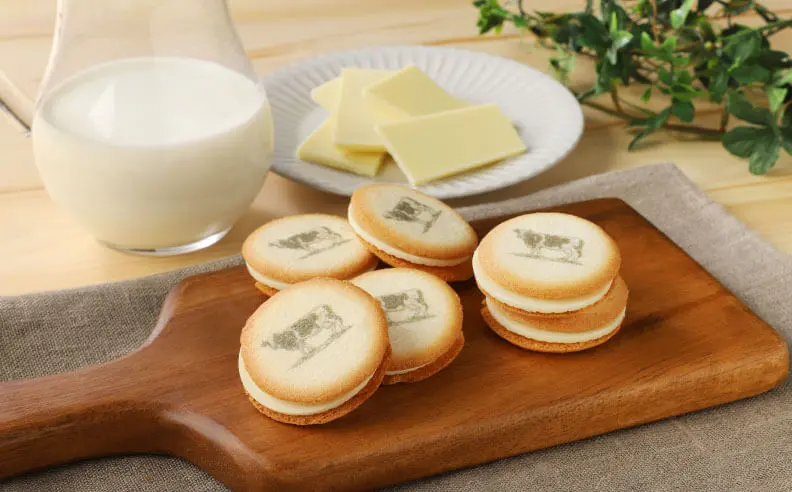 38 Best Things To Buy in Osaka: Unique Sweets, Snacks & Gifts You’ll Want to Bring Home (2025) 12 img lineup product mldc 01.jpg