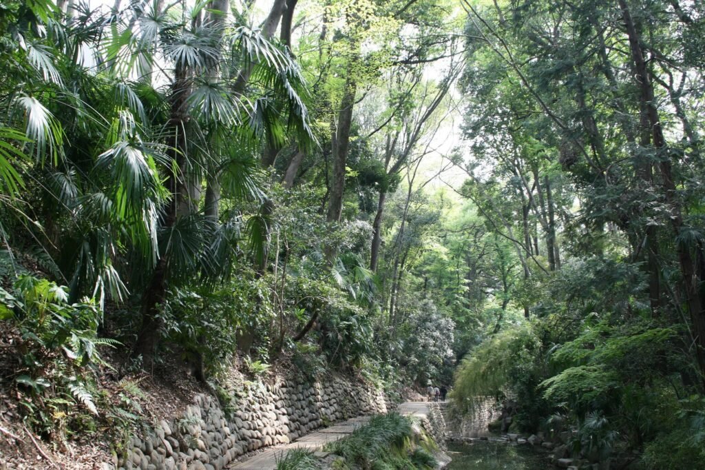 23 Best Hidden Gems in Tokyo You’re Missing in 2025 (Even Locals Keep These Quiet) 21 Todoroki Valley (Setagaya Ward)