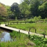 hidden gems in Tokyo