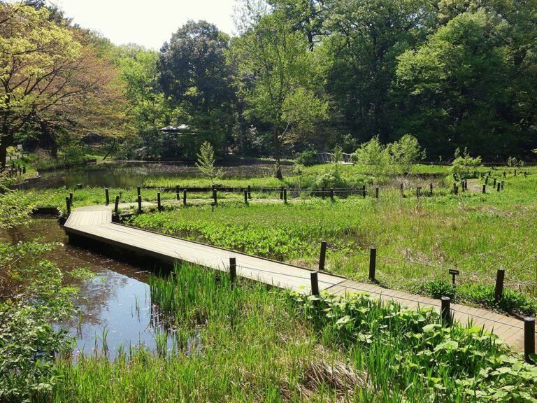 hidden gems in Tokyo