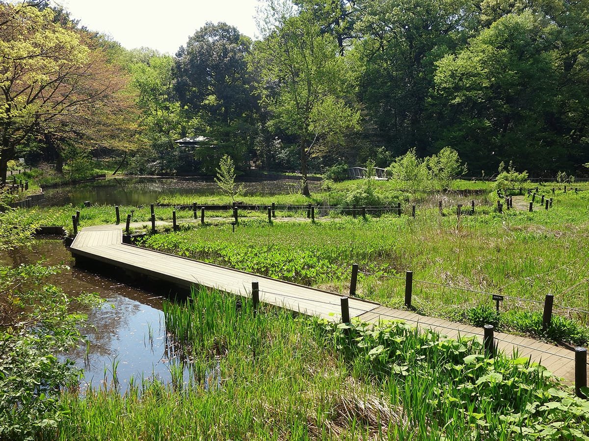 hidden gems in Tokyo