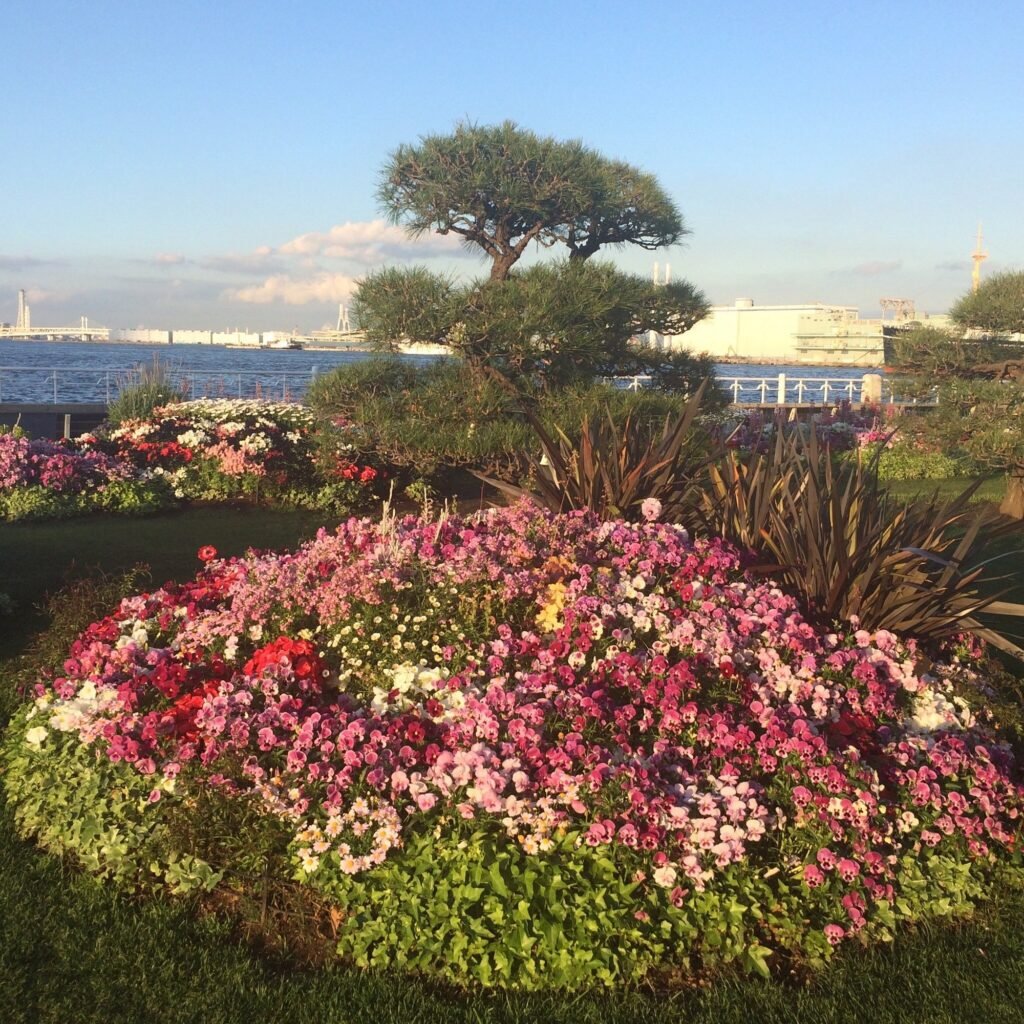 What to Do in Yokohama with kids: 20+ Must-See Spots & Experiences (2025) 13 Yamashita Park