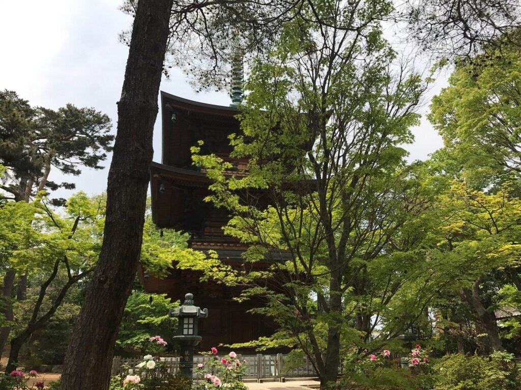 23 Best Hidden Gems in Tokyo You’re Missing in 2025 (Even Locals Keep These Quiet) 3 Gotokuji Temple (Setagaya Ward)