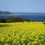 Hidden Gems in Fukuoka