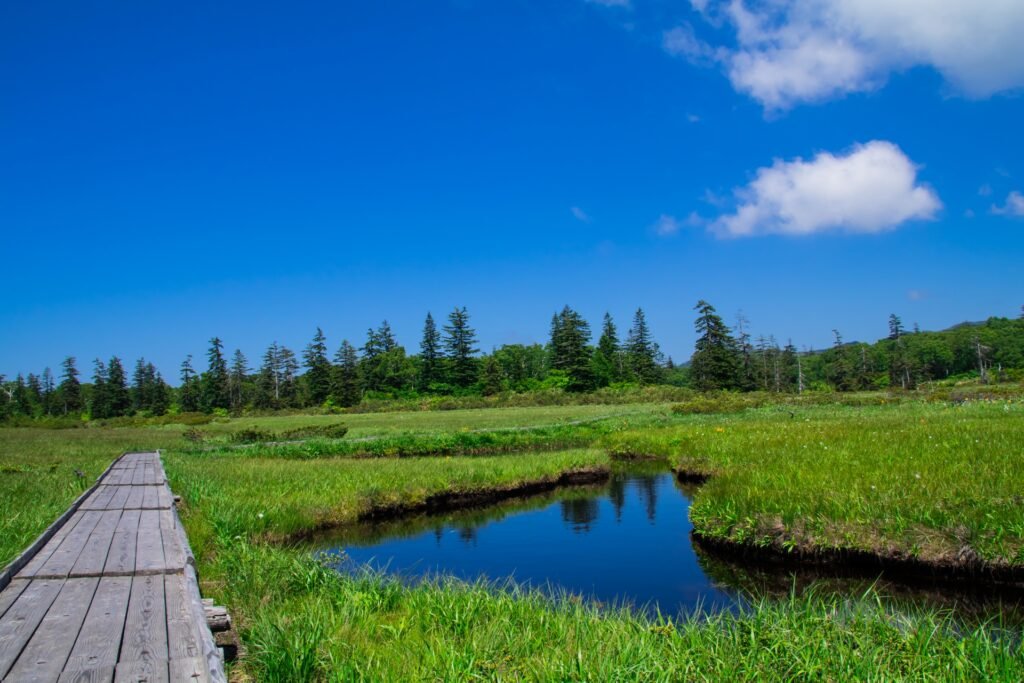  Shinsen-numa Marsh Hokkaido