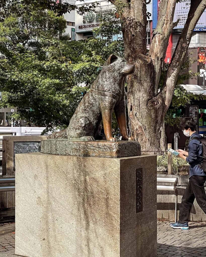  Cat Street Harajuku Tokyo