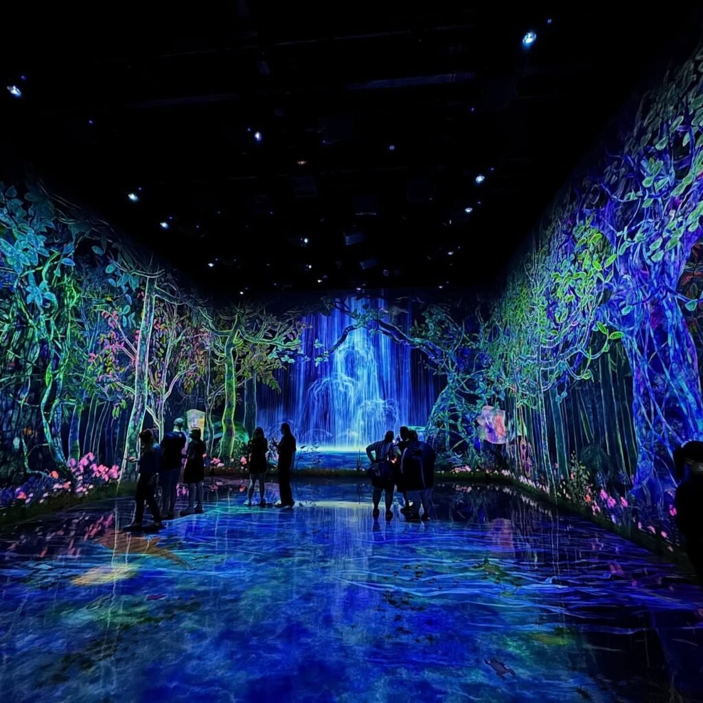 TeamLab Planets Japan