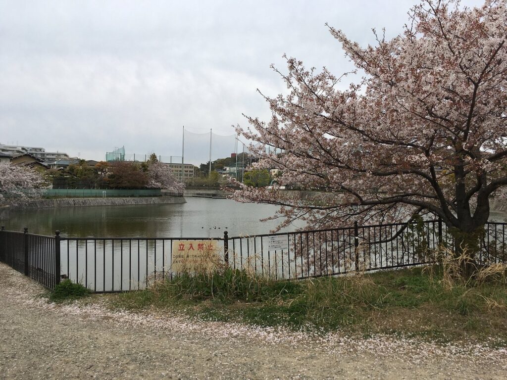 Anime Pilgrimage Japan: A Deep Dive into 48 Sacred Anime Locations Across Japan 19 Shinike Pond