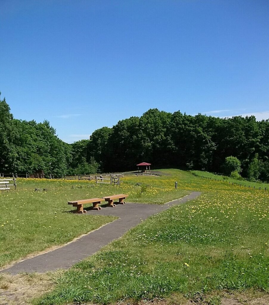 Hidden Gems in Hokkaido