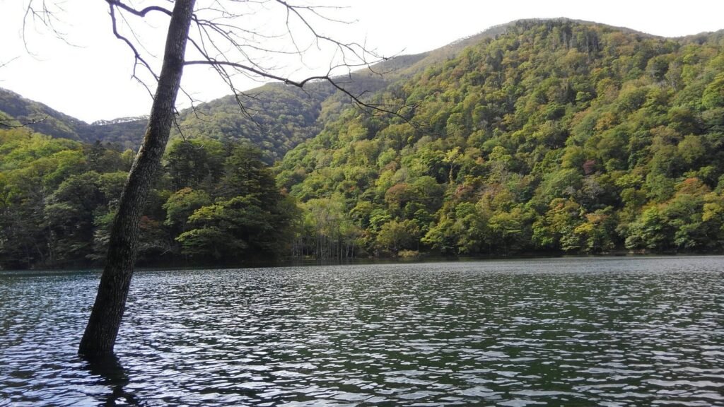 Toyoni Lake  Hokkaido