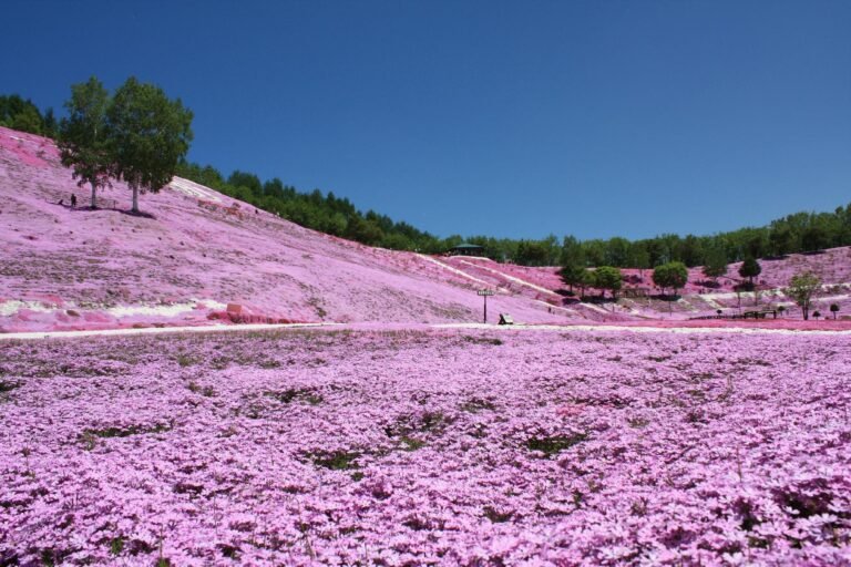 Hidden Gems in Hokkaido