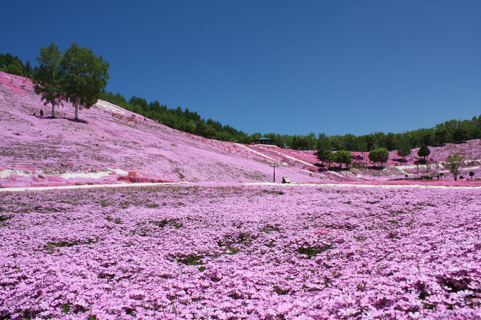 Hidden Gems in Hokkaido