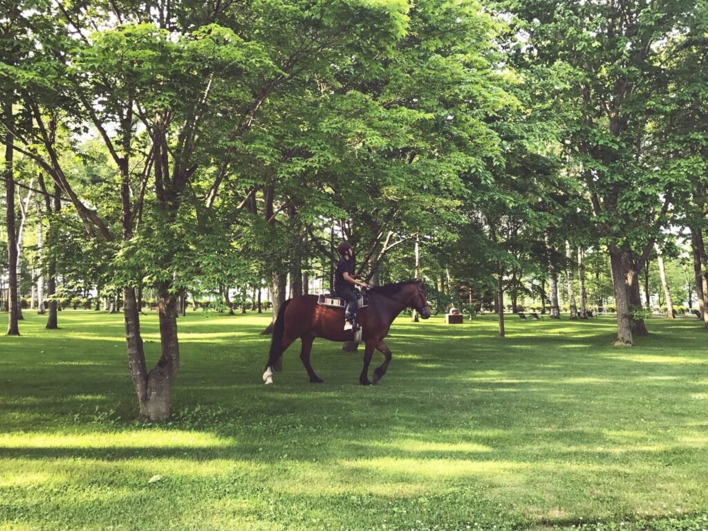 Northern Horse Park Hokkaido