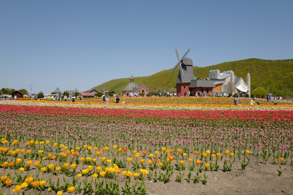 Hidden Gems in Hokkaido