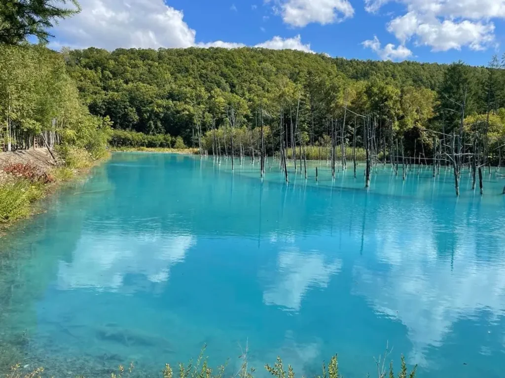 Shirogane Blue Pond