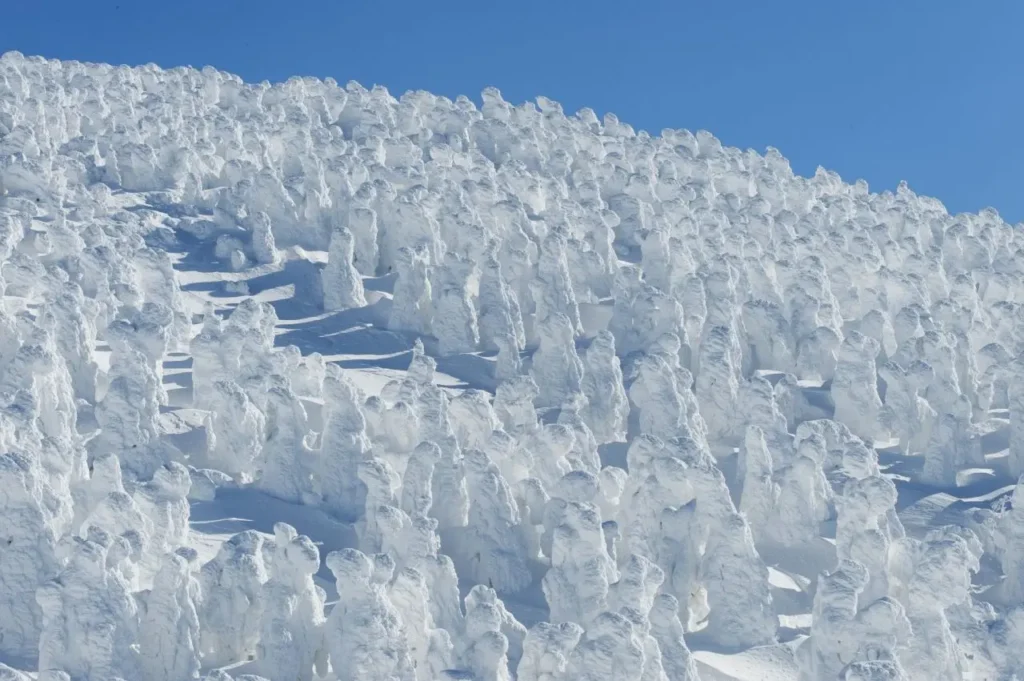 Zao’s Snow Monsters