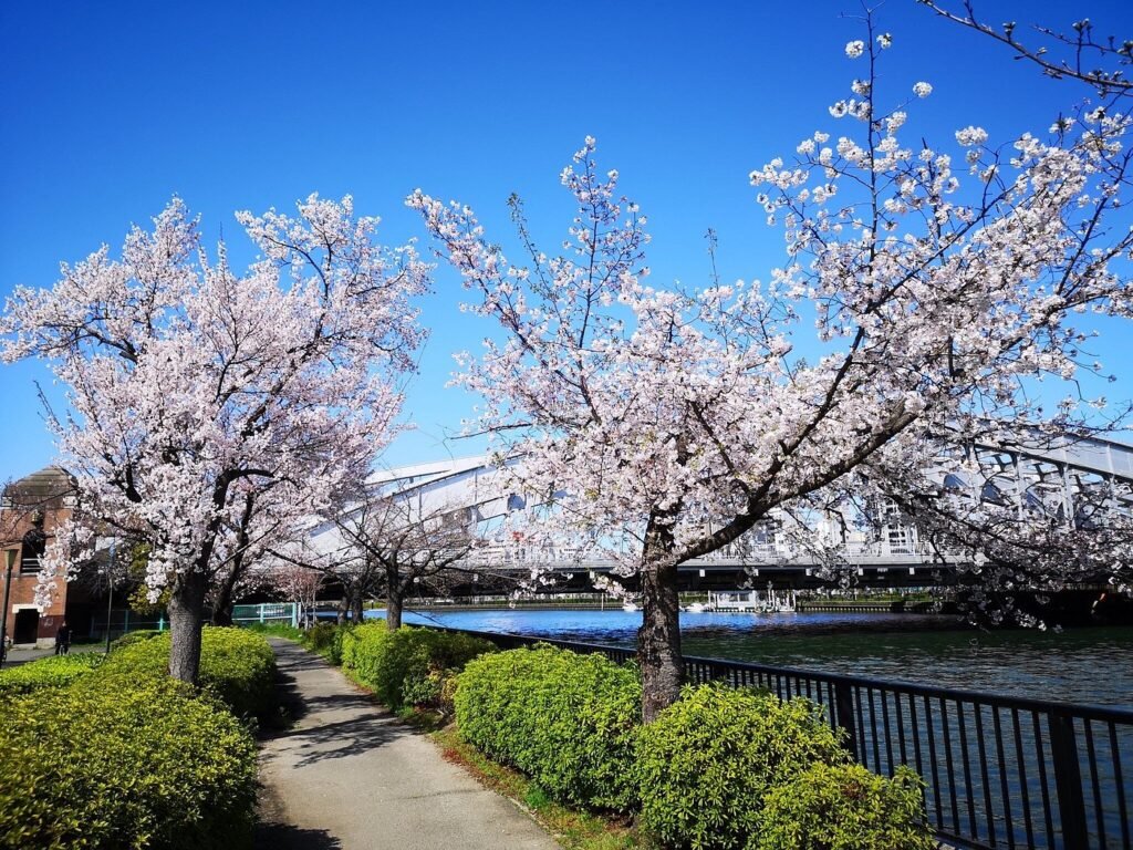 Kema Sakuranomiya Park