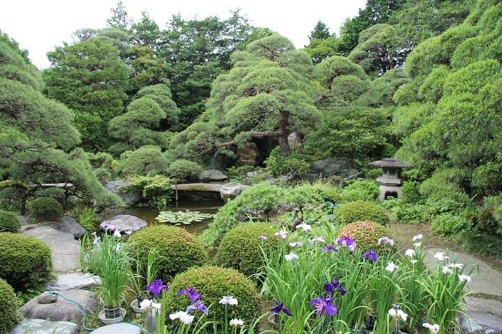 What to Do in Shibamata Tokyo in 2026: Top Attractions, Food & Cultural Experiences 18 Yamamoto-tei